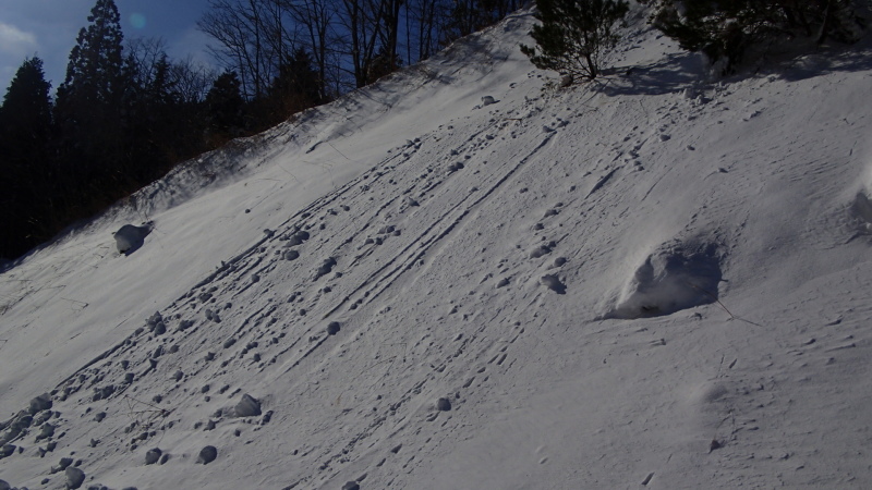 e0024081_21133022.jpg