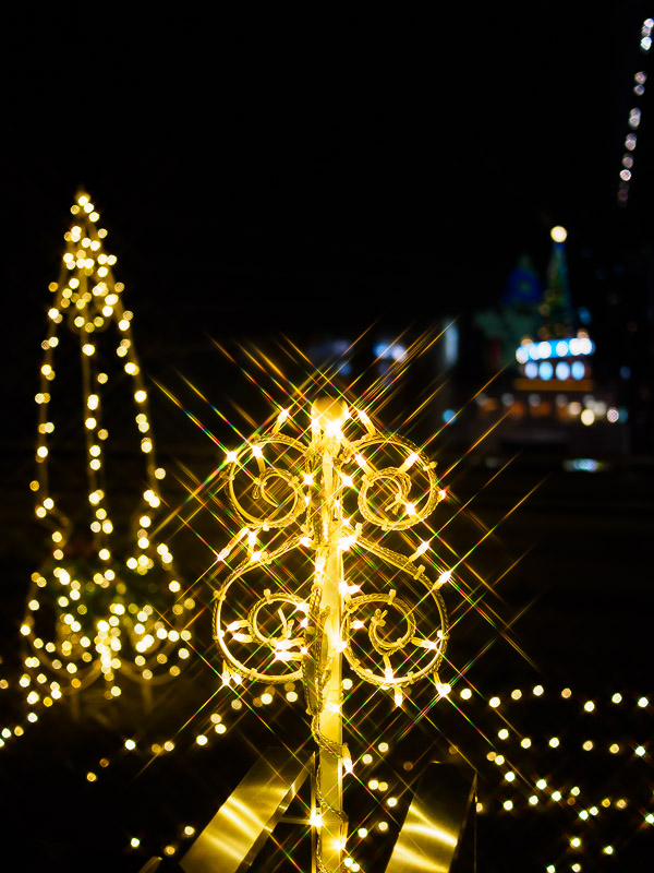 京都駅ビル　クリスマスイルミネーション2013_f0224083_0809.jpg