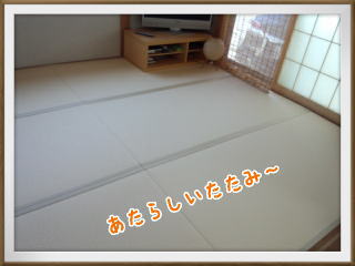 c0072486_16461868.jpg