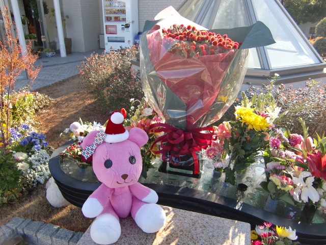 メリークリスマス☆_b0263390_1332646.jpg