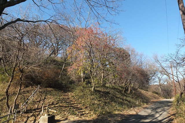 e0070891_1751090.jpg