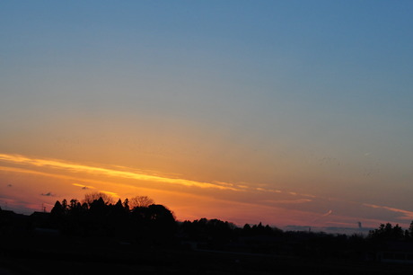 d0234293_17221343.jpg