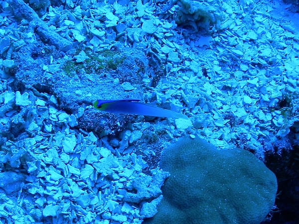 c0097095_160130.jpg