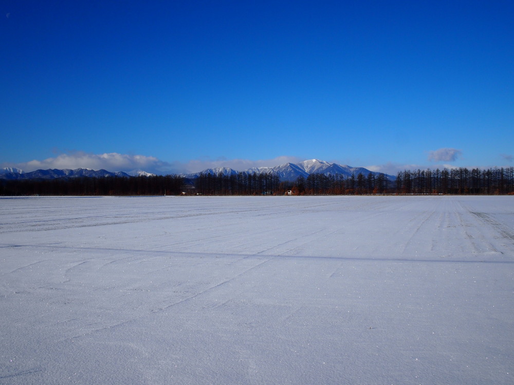 今季一番の冷え込み？まだ雪の少ない中札内村の農村風景。_f0276498_1027492.jpg