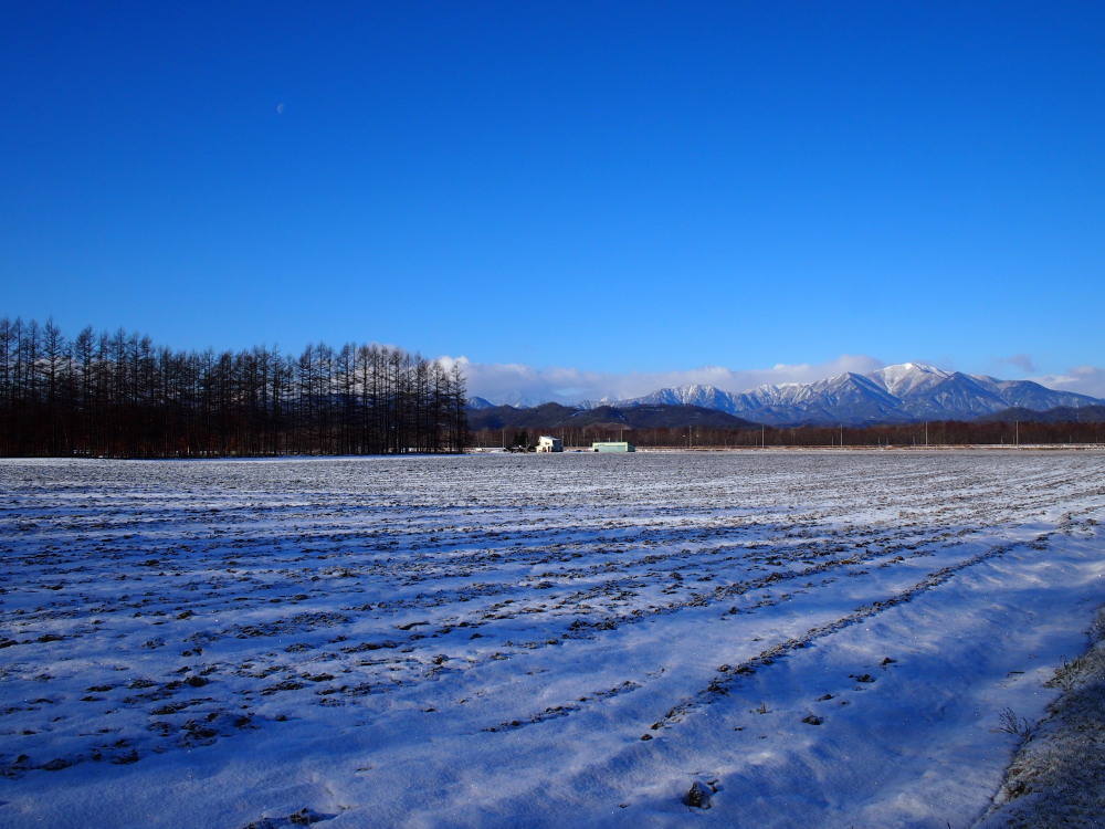 今季一番の冷え込み？まだ雪の少ない中札内村の農村風景。_f0276498_10284631.jpg