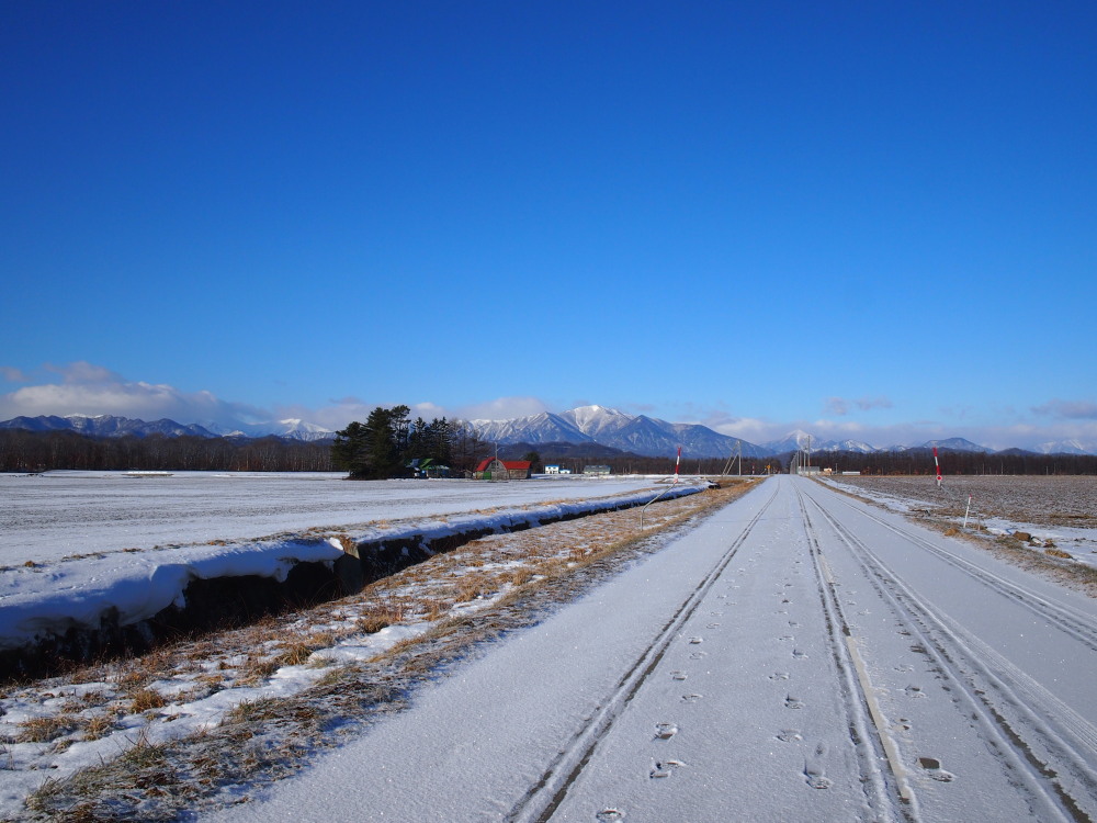 今季一番の冷え込み？まだ雪の少ない中札内村の農村風景。_f0276498_10291965.jpg