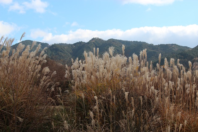 奈良・飛鳥で古代を歩く（3）_c0306400_0284224.jpg