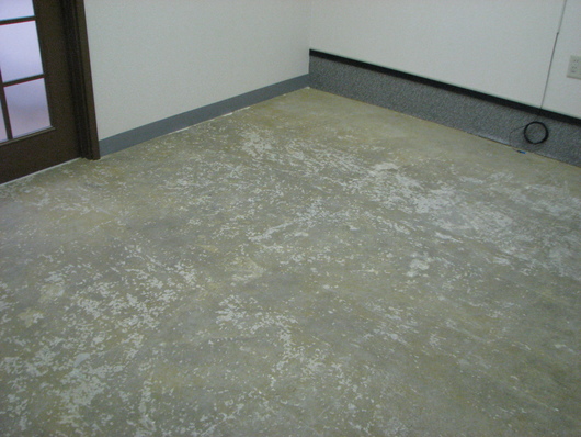 c0078202_6385187.jpg