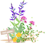 d0028304_20183748.gif