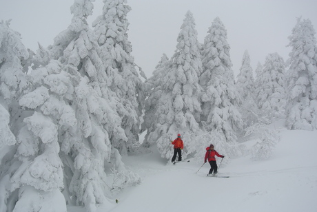 2013年12月粉雪病の季節到来。足慣らしはやはり八甲田_c0242406_19275637.jpg