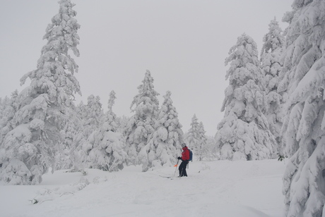 2013年12月粉雪病の季節到来。足慣らしはやはり八甲田_c0242406_19313070.jpg