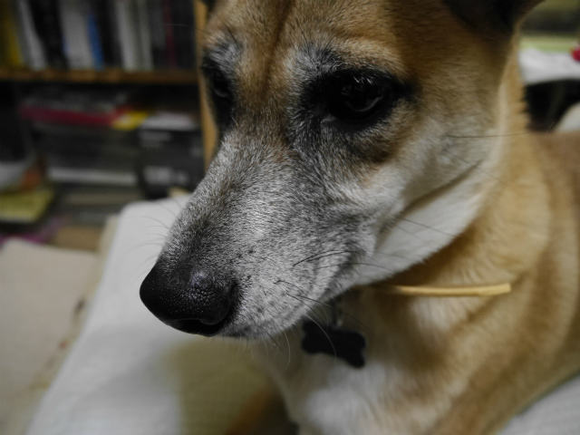 f0218911_3471966.jpg