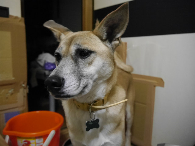 f0218911_3473722.jpg