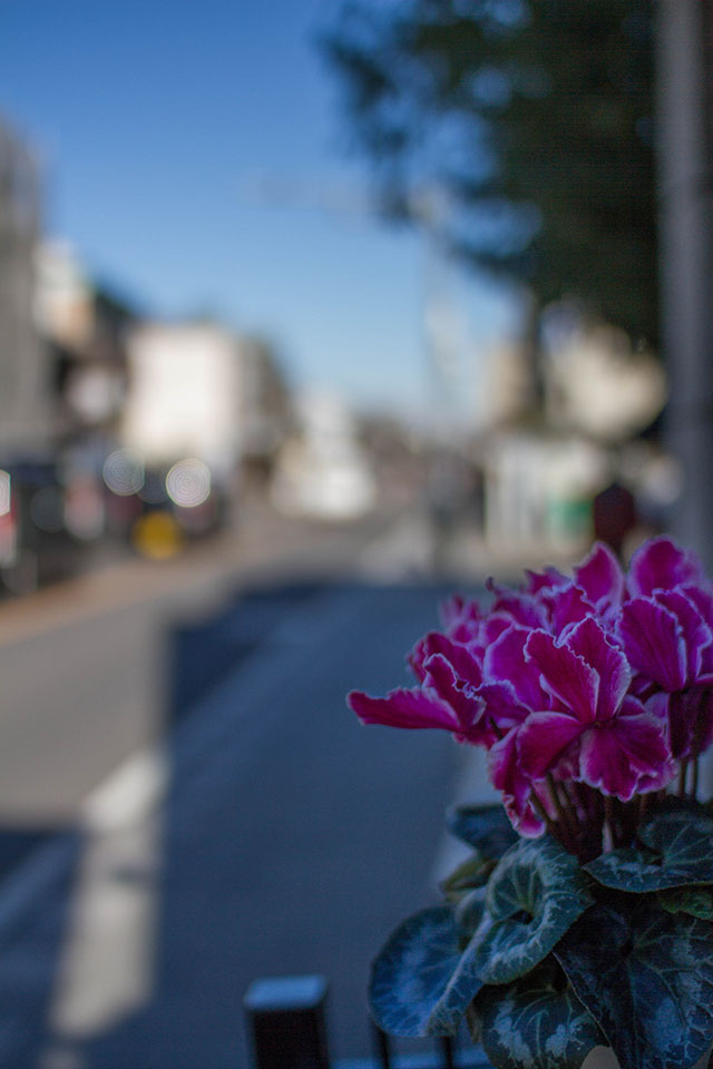 b0010915_20122610.jpg