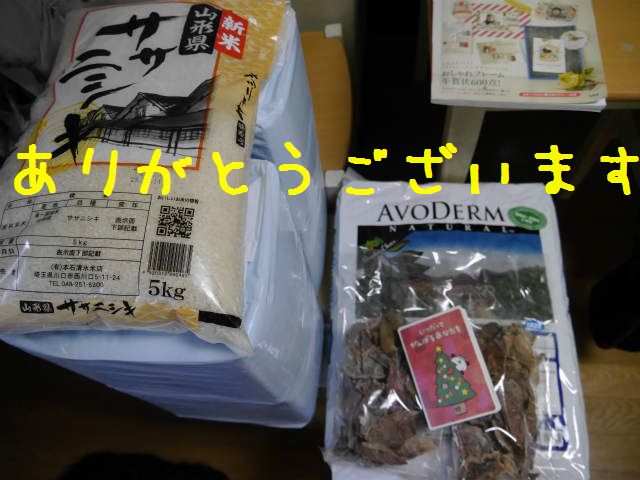 f0282319_9261127.jpg