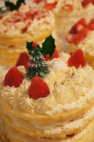 クリスマスケーキ　３　～12月～_c0235725_1594382.jpg