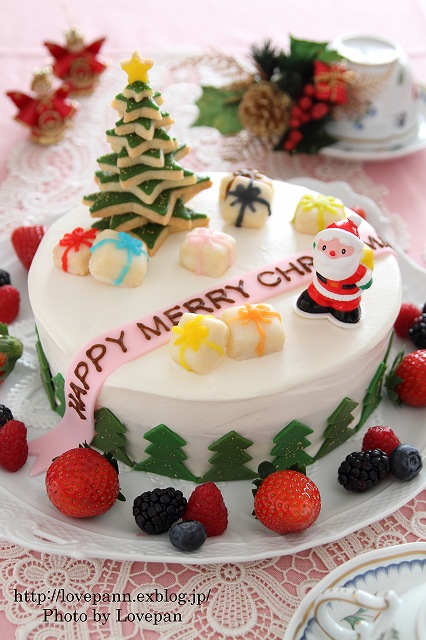 クリスマスケーキ_c0136926_23161722.jpg