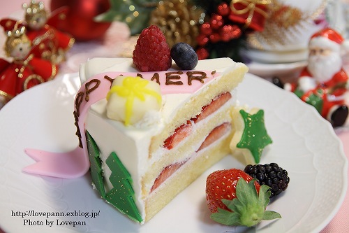 クリスマスケーキ_c0136926_23171139.jpg