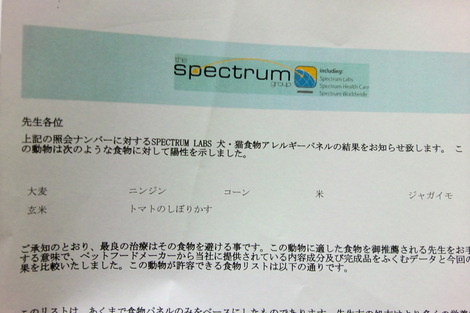 c0236632_05647.jpg