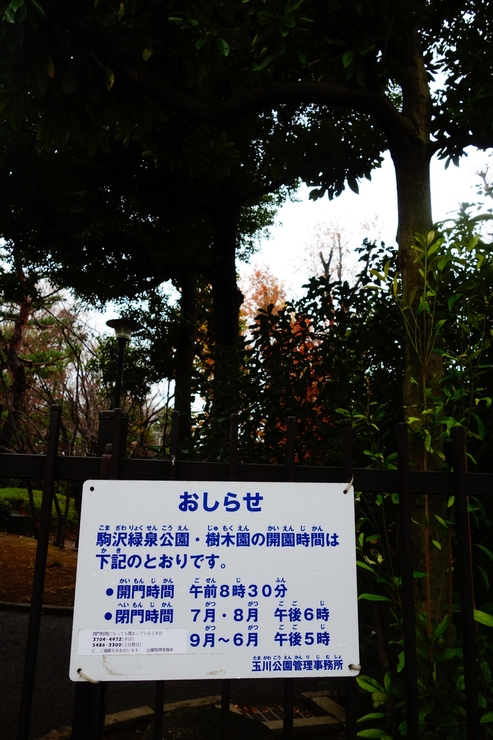 駒沢オリンピック公園からぶらぶら その2～周辺散策～_a0287336_2213310.jpg