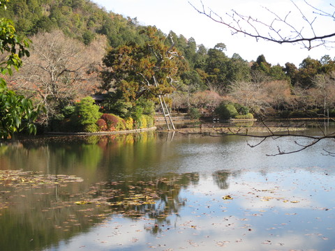 a0307846_99275.jpg
