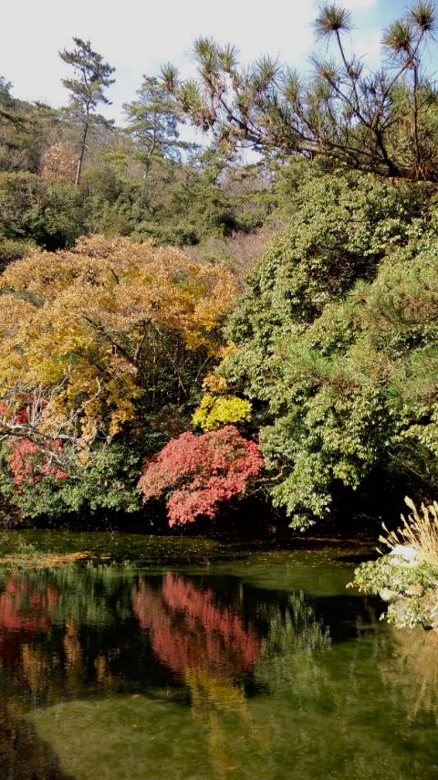 遅くなったけど、栗林公園の紅葉_b0014350_22452439.jpg