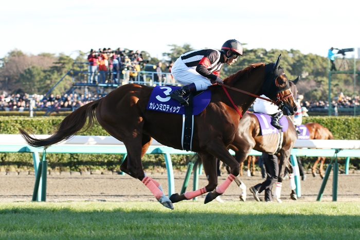 第56回有馬記念 8馬身差の圧勝、オルフェーブル有終の美 : Turf