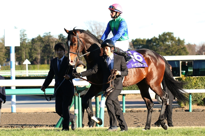 第56回有馬記念 8馬身差の圧勝、オルフェーブル有終の美 : Turf
