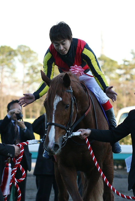 第56回有馬記念 8馬身差の圧勝、オルフェーブル有終の美 : Turf