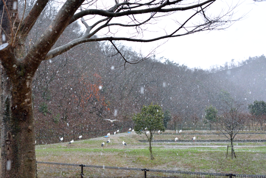 b0243873_15252550.png