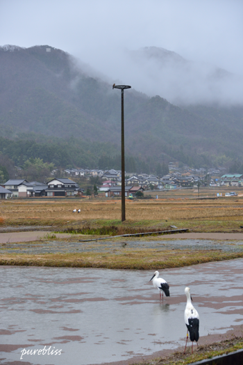 b0243873_15253435.png