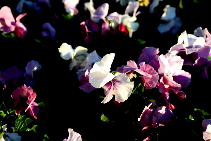 和田倉噴水公園_e0171573_213958100.jpg