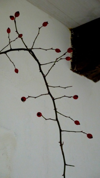 a0278382_01095551.jpg