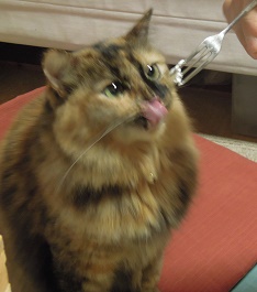 作り込みとケーキ_d0195183_3133362.jpg