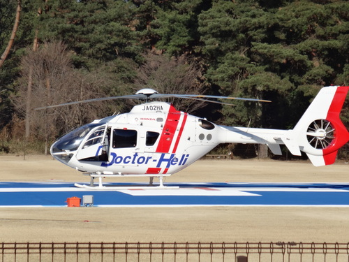 a0240486_1123830.jpg