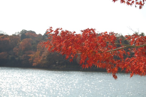 c0195787_1993438.jpg