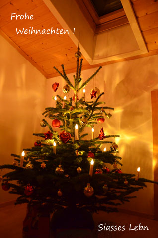 e0088895_20124489.jpg