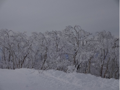 【北海道2日目】ルスツ2日目_c0027298_1582440.jpg