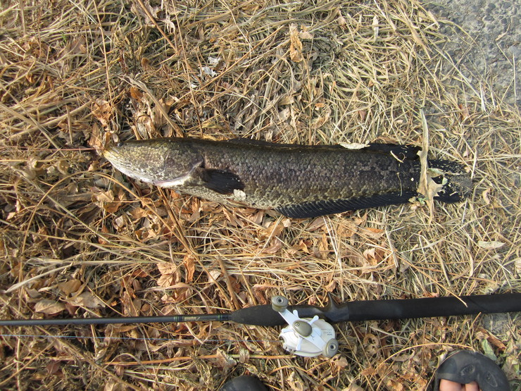 c0242706_11461015.jpg
