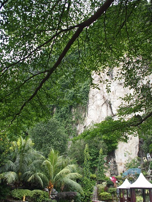 d0240207_23451015.jpg