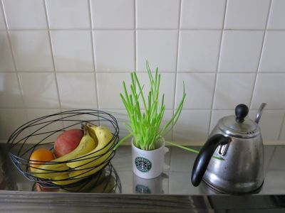 c0156908_8382967.jpg