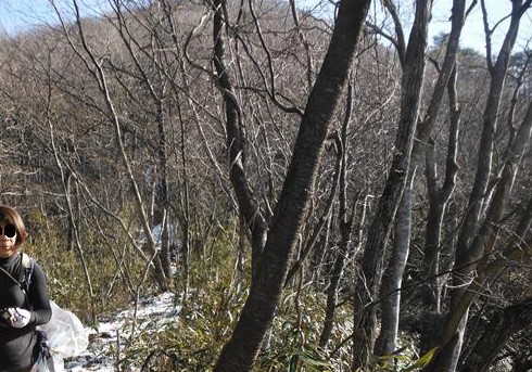 a0127015_162888.jpg