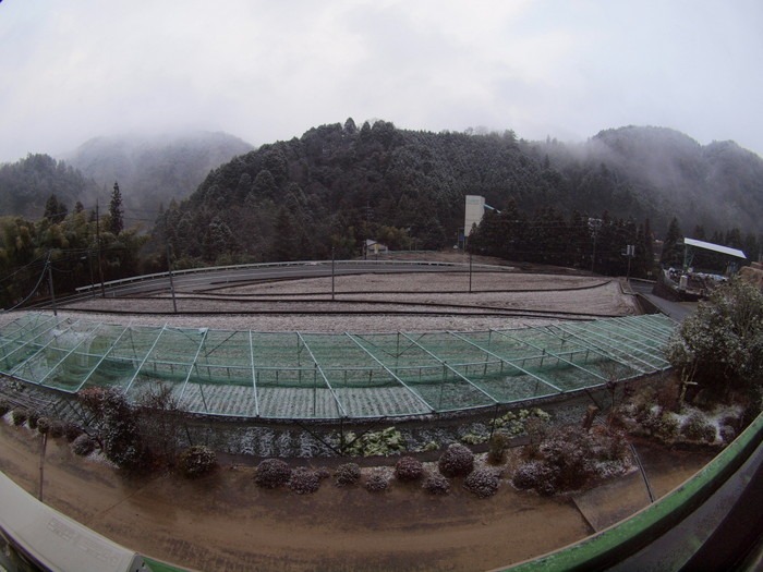 薄っすら雪景色_c0116915_2320153.jpg