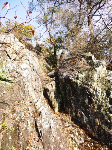 八木山(296M) ～ 愛宕山(268.5M) ～ 苧ｹ瀬池（おがせいけ）縦走_d0170615_21215555.jpg