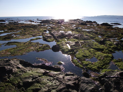 a0279321_14451318.jpg