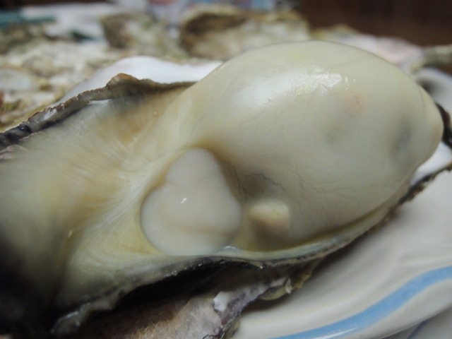 d0025421_181012100.jpg