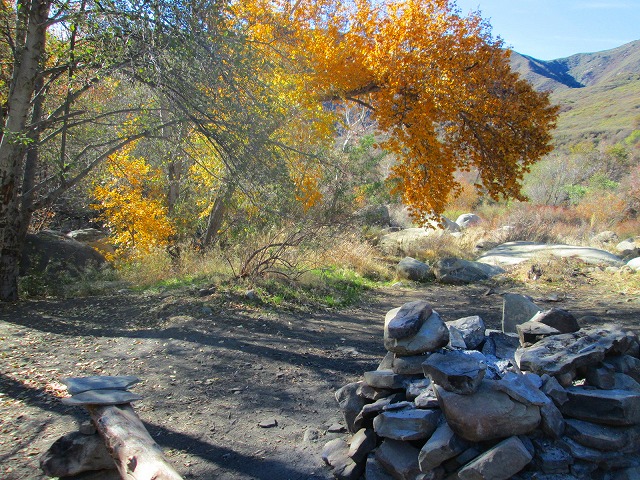 落ち葉の沢を登り秘境の滝へ　　　　　Middle Fork Matilija Trail in Ojai_f0308721_1704055.jpg