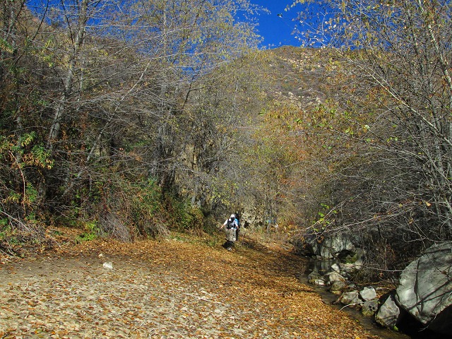 落ち葉の沢を登り秘境の滝へ　　　　　Middle Fork Matilija Trail in Ojai_f0308721_1754790.jpg