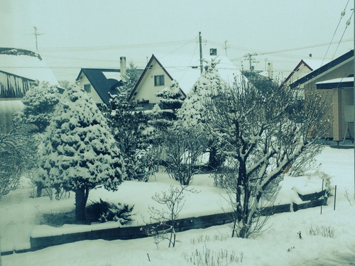 e0245625_1105230.jpg