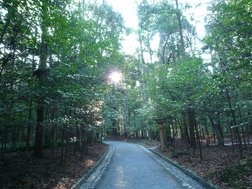 「お伊勢参り」_b0211926_17165626.jpg